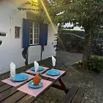 Vacas Felizes Feriehus Ribeira Grande