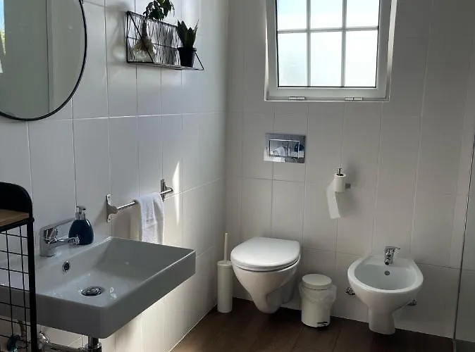 Vacas Felizes * Ribeira Grande