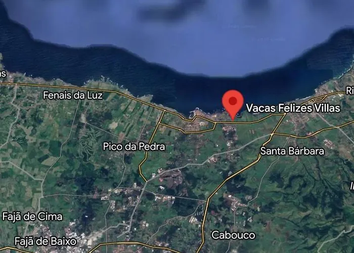 Vacas Felizes * Ribeira Grande