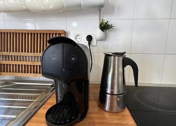 Vacas Felizes Ribeira Grande