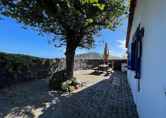 Vacas Felizes * Ribeira Grande