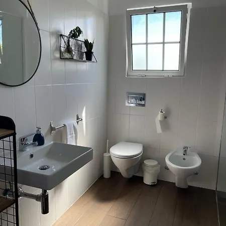 Vacas Felizes * Ribeira Grande