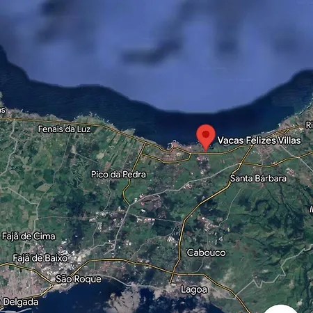 Vacas Felizes * هيبيرا غْريندي