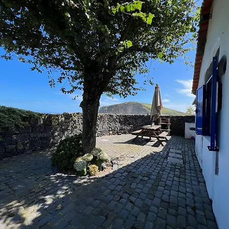 Vacas Felizes * Ribeira Grande