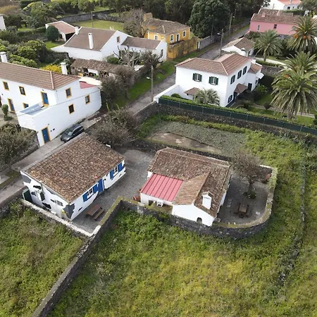 Vacas Felizes Ribeira Grande