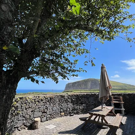 Vacas Felizes هيبيرا غْريندي