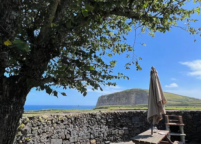 Vacas Felizes Ribeira Grande